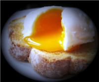 oeuf poché oeuf poché