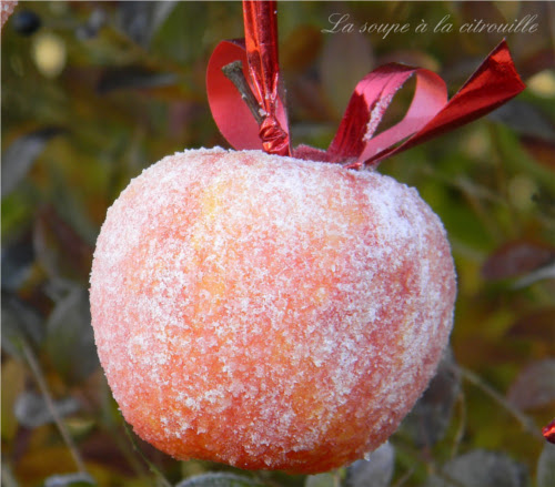 pomme givrée décoration de noel