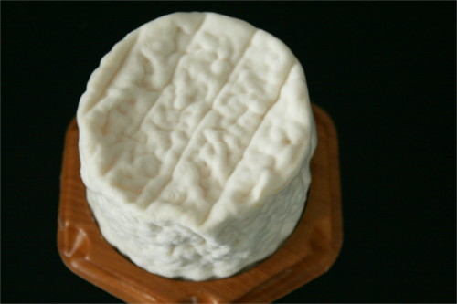 brebille papillon sans la boite