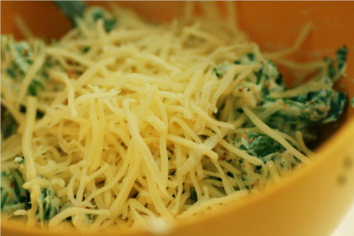 mÃ©lange fromage et herbes